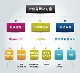 大數(shù)據(jù) 驅(qū)動未來的核心服務(wù)與價值革命