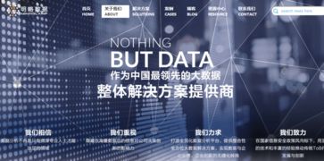 明略數據 邁向中國大數據分析應用解決方案獨角獸的征途